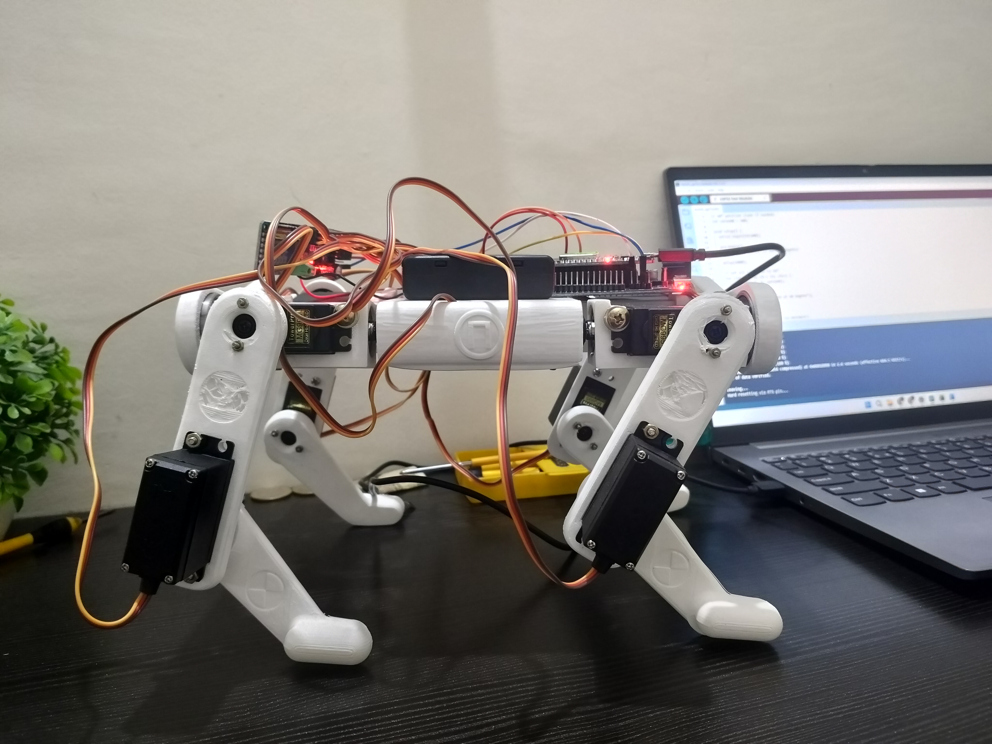 Robotic Dog